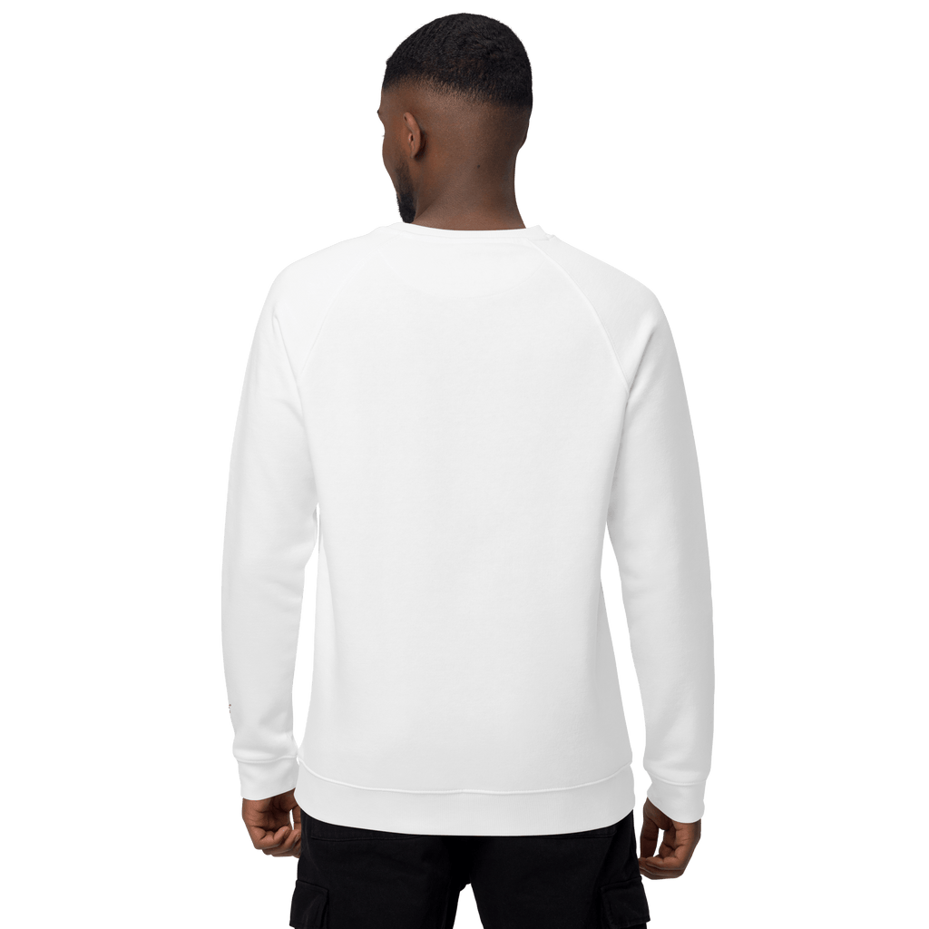 Sudadera Geometric orgánica raglán unisex color - Streetwear DAWS