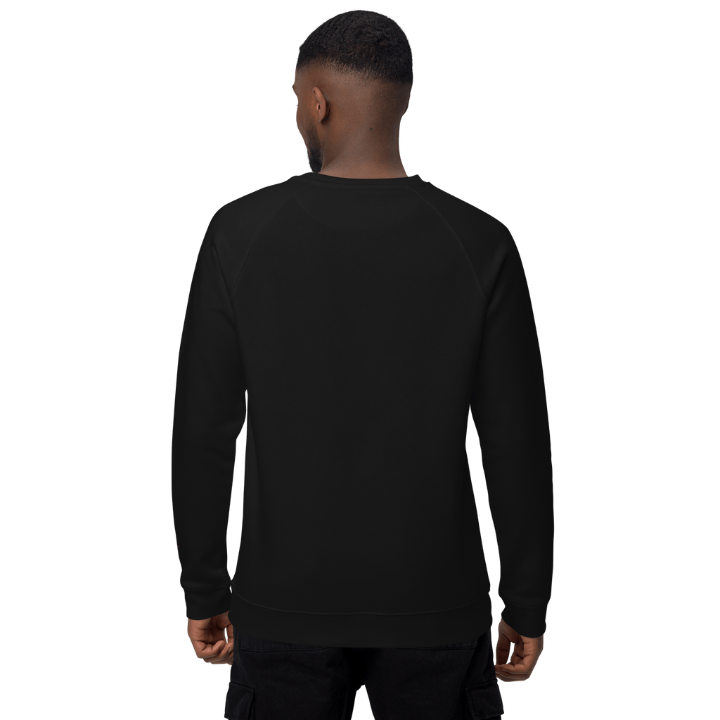 Sudadera Geometric orgánica raglán unisex color - Streetwear DAWS