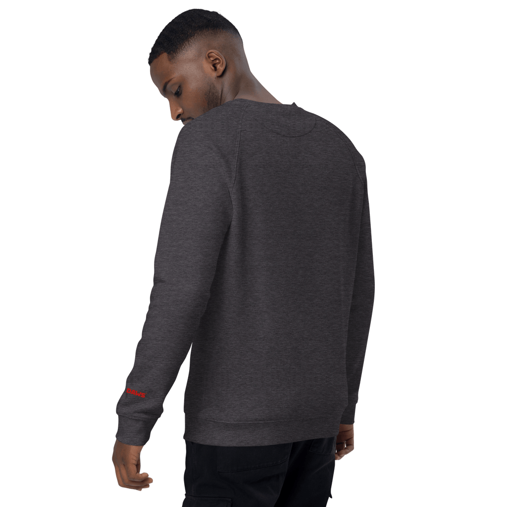 Sudadera Geometric orgánica raglán unisex color - Streetwear DAWS