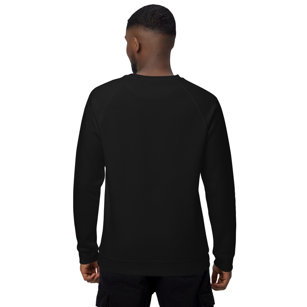 Sudadera Geometric orgánica raglán unisex