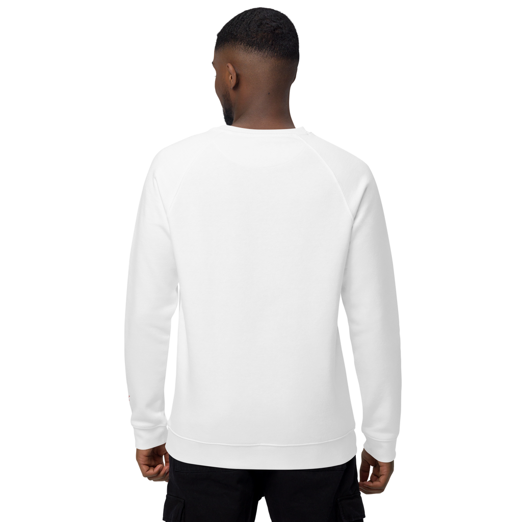 Sudadera Geometric orgánica raglán unisex