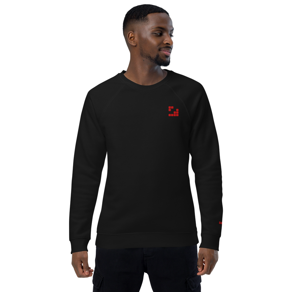 Sudadera Geometric orgánica raglán unisex